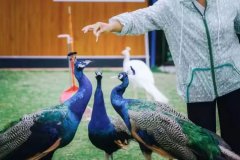 州三六六青少年研学旅行采菱亲子户外探索活动体验课报名中