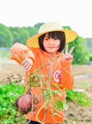 苏州三六六研学旅行户外拓展活动挖红薯割稻子探索体验课报名中 苏州三六六研学旅行户外拓展活动挖红薯割稻子探索体验课报名中