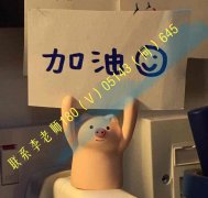 南京工业职业技术大学五年制专转本要如何备考提升转本通过率