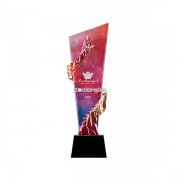 创意水晶奖杯公司大气彩印荣誉授权奖牌纪念品年会树脂新款颁奖