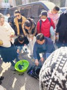 膏药制作好学吗