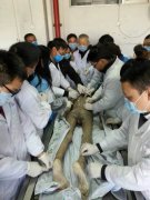 南昌针刀课几号举行