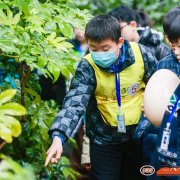 苏州少儿暑假知识科普营夏令营户外探索恐龙园社会实践课活动报名