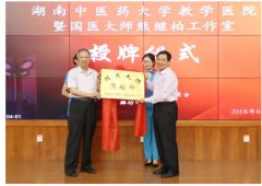 石学敏醒脑开窍