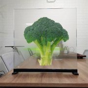 时代中视薄款透明投影膜 高清晰 高透明 全息膜 背投膜 玻璃