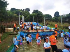 苏州少儿夏令营户外活动拓展水上运动赛龙舟体验营报名