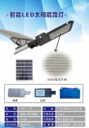 火炬款太阳能路灯，富贵鱼款太阳能路灯，航空款太阳能路灯中华款
