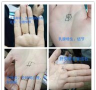 哪里可以学到新四诊