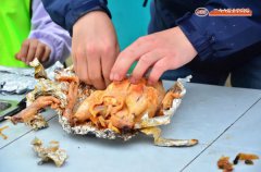 苏州少儿暑假夏令营赏千亩荷花人与自然探索体验营活动拓展报名中