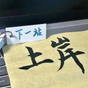 五年制专转本英语科目是重中之重,必须提前备考起来! 五年制专转本英语科目是重中之重,必须提前备考起来!