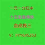 一元一分正规红中麻将群