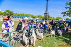 苏州中小学三六六社会实践素质培养野外露营户外拓展体验活动报名