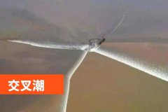 苏州青少年三六六社会实践探索钱塘江大潮自然奥秘研学旅行活动 苏州青少年三六六社会实践探索钱塘江大潮自然奥秘研学旅行活动