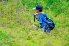 苏州三六六社会实践中小学自然科考研学旅行山野徒步体验探索活动 苏州三六六社会实践中小学自然科考研学旅行山野徒步体验探索活动