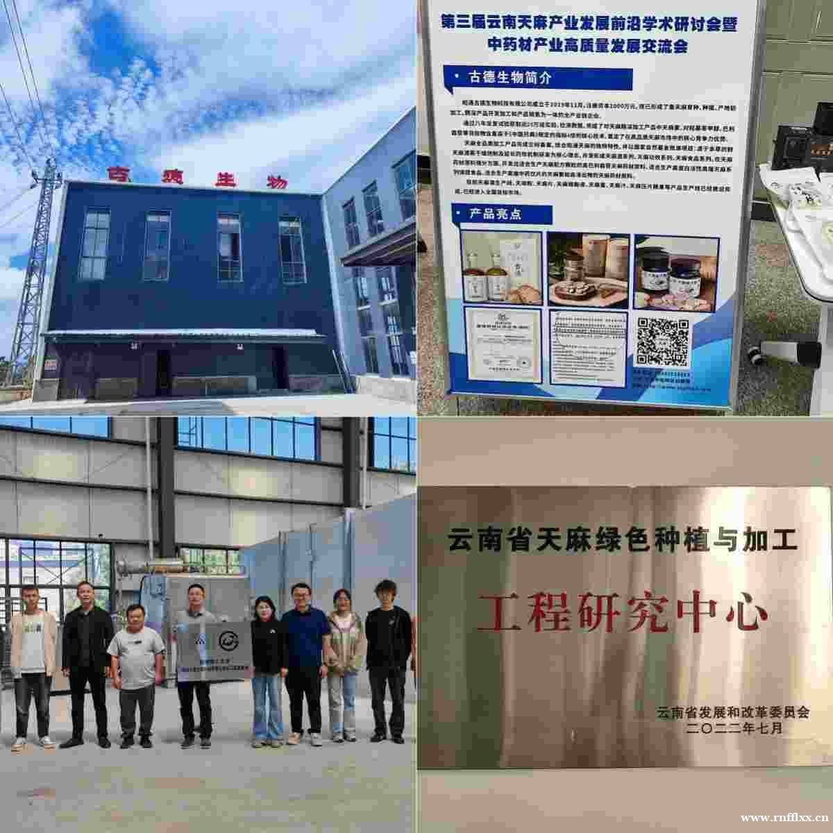 昭通天麻收购:古德生物以全链实力,打造供应商共赢平台 昭通天麻收购:古德生物以全链实力,打造供应商共赢平台