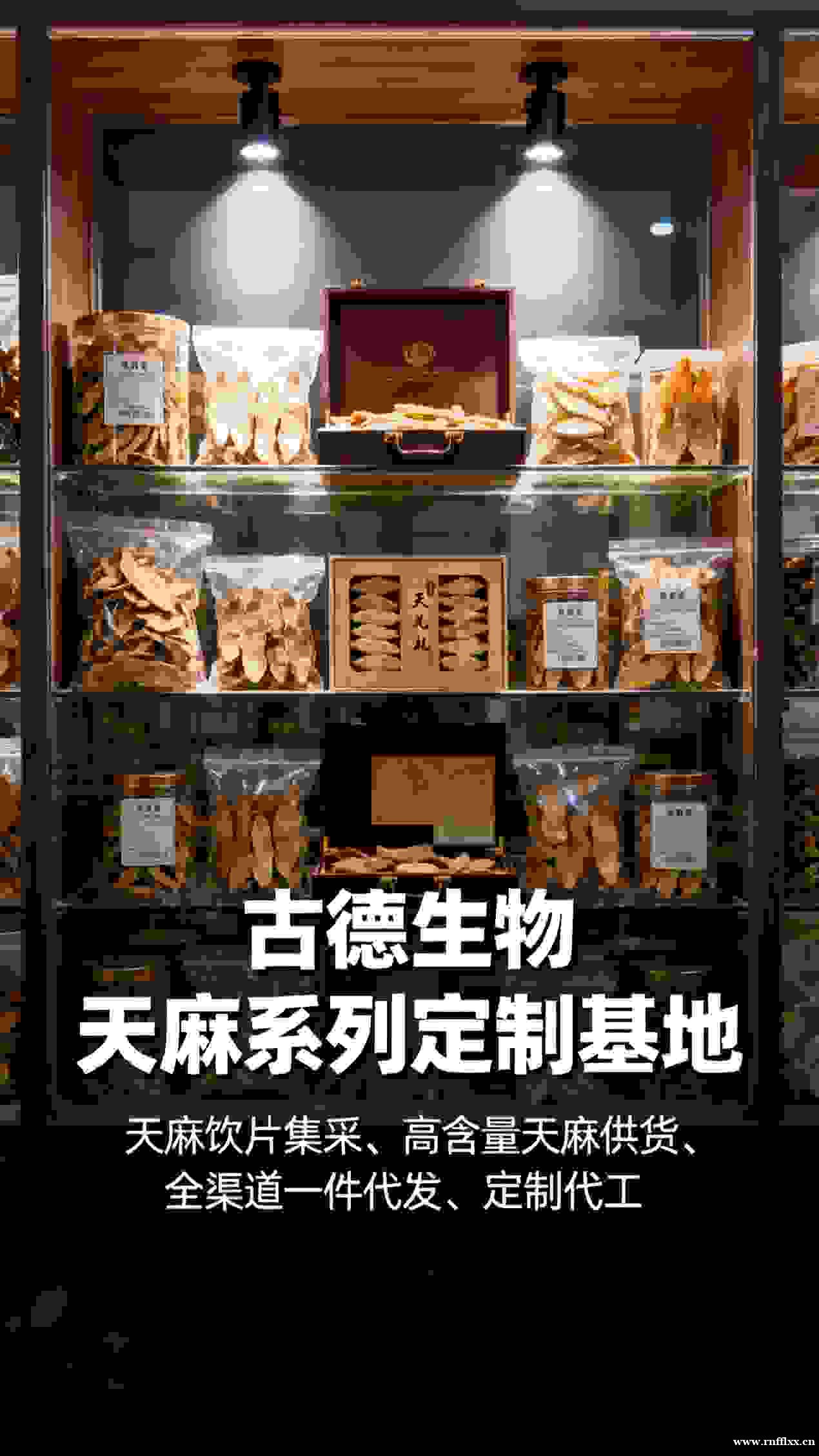 天麻集采直供古德生物天麻素0.25%浸出物15%承接代工 天麻集采直供古德生物天麻素0.25%浸出物15%承接代工