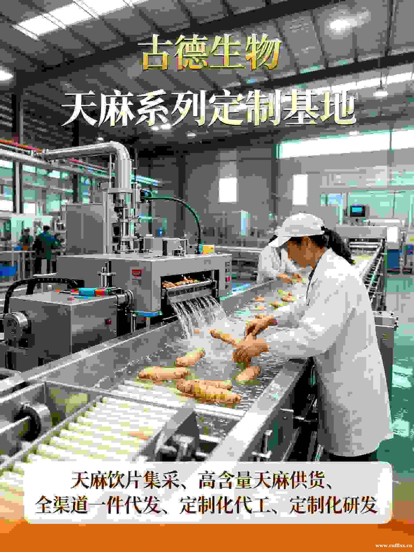 古德生物天麻批发价格透明天麻素0.25%浸出物15% 古德生物天麻批发价格透明天麻素0.25%浸出物15%