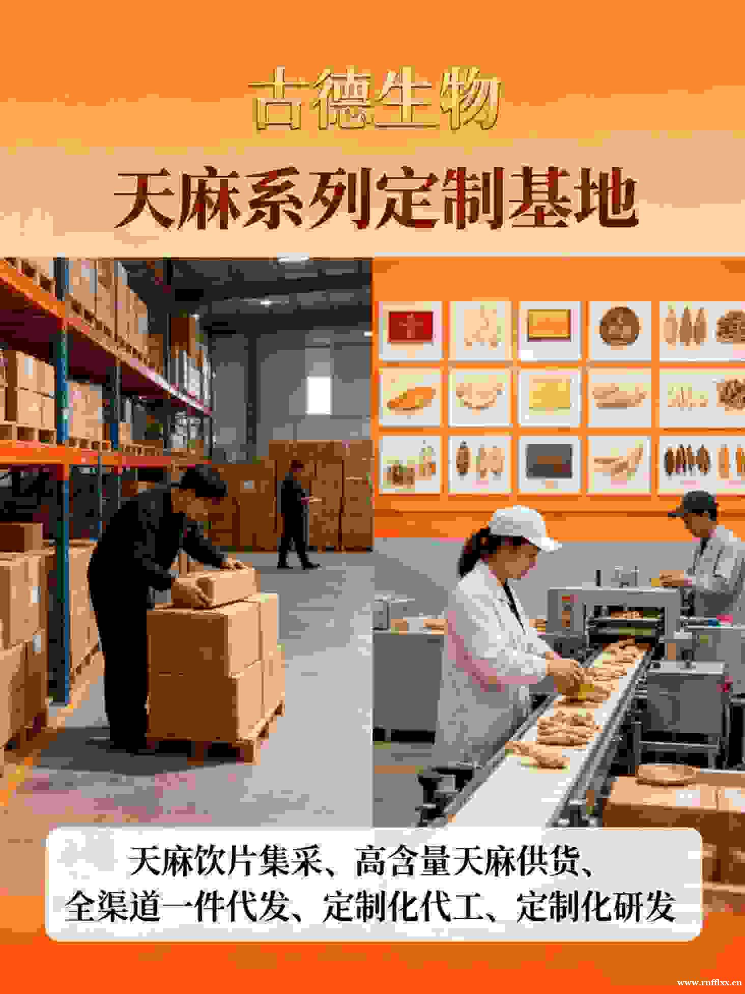 古德生物天麻集采提供溯源查询天麻素0.25%浸出物15% 古德生物天麻集采提供溯源查询天麻素0.25%浸出物15%
