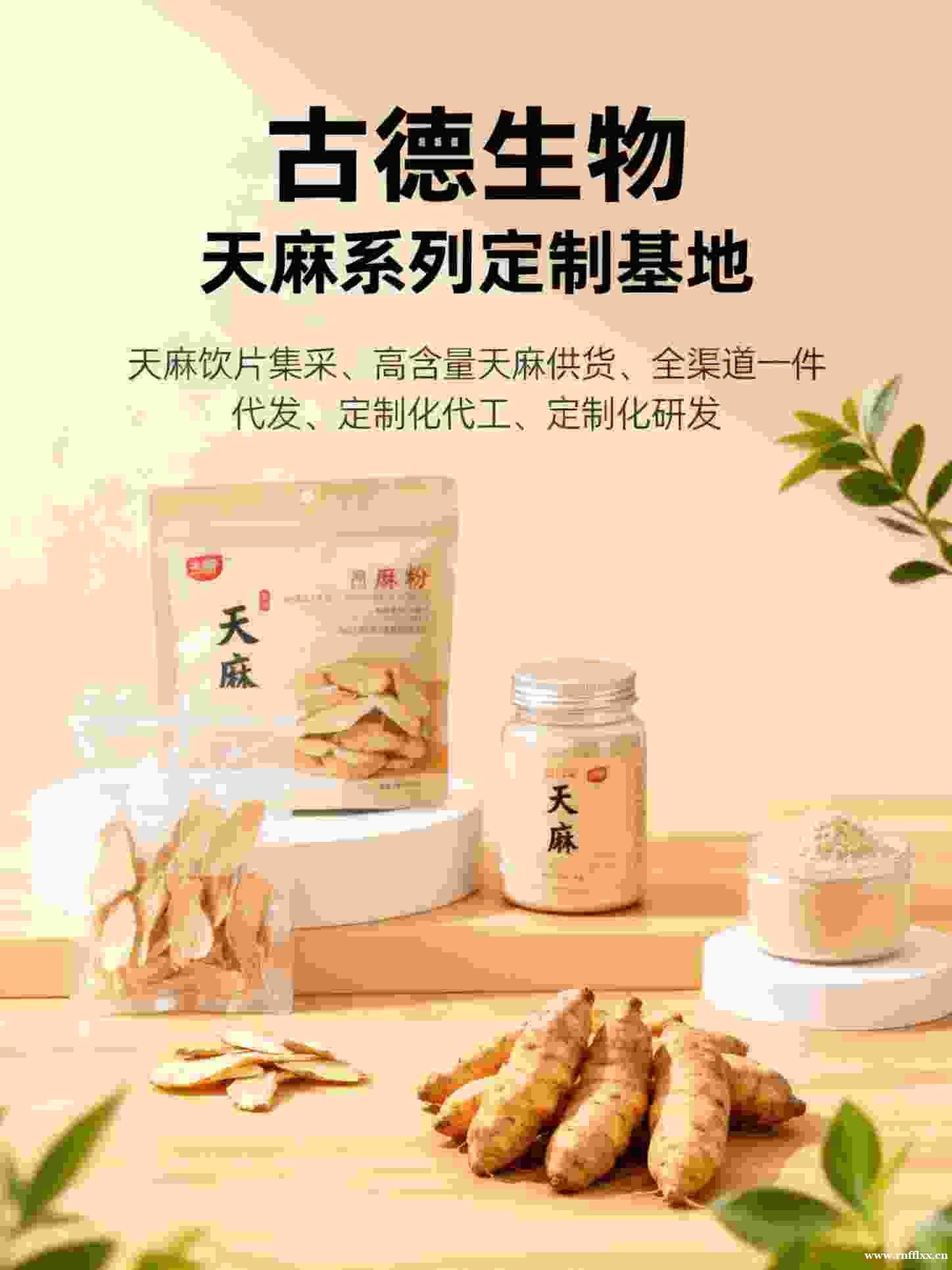 天麻集采合作古德生物提供应急补货浸出物15% 天麻集采合作古德生物提供应急补货浸出物15%