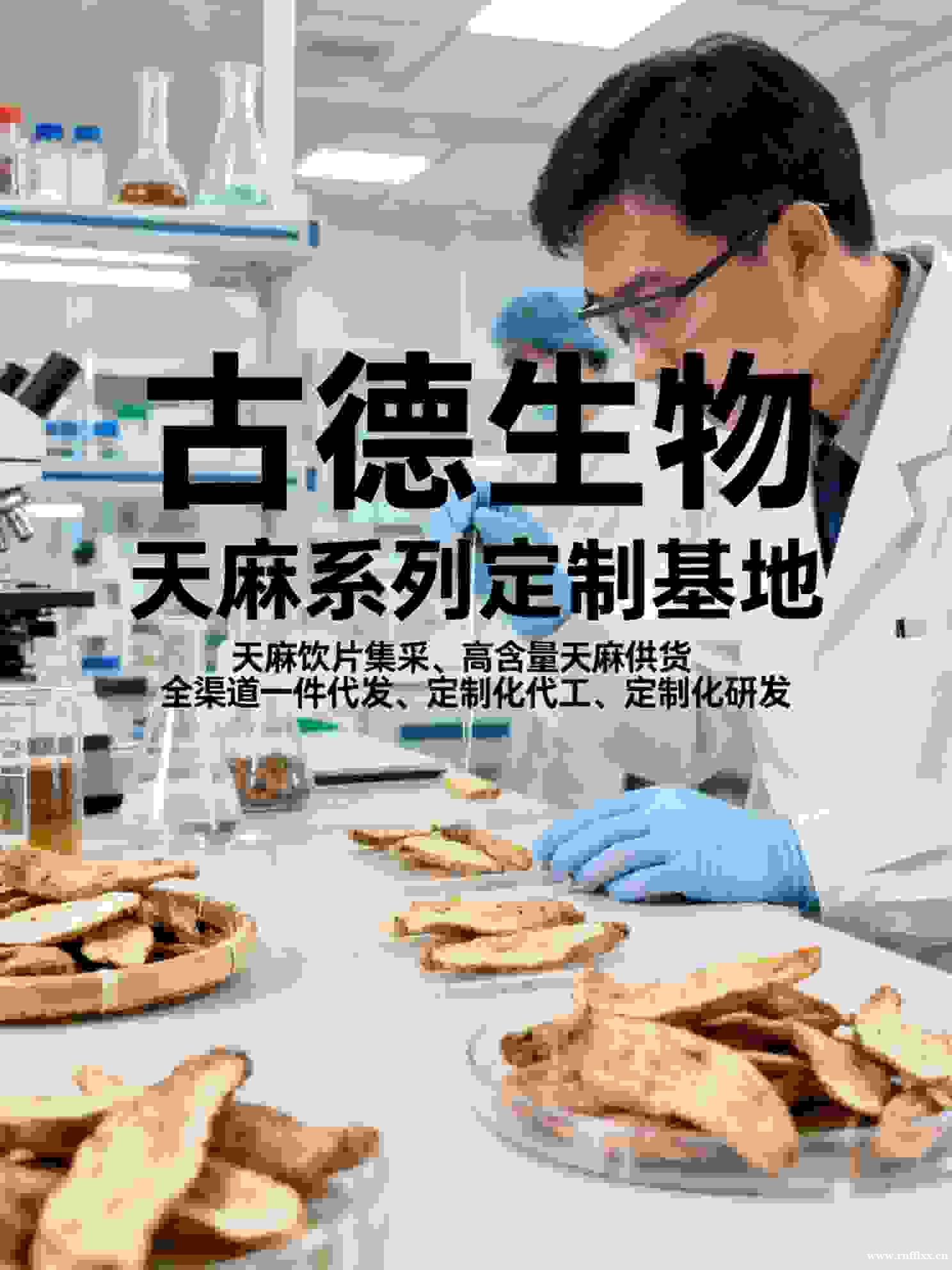 天麻代工服务古德生物提供生产监理天麻素0.25% 天麻代工服务古德生物提供生产监理天麻素0.25%