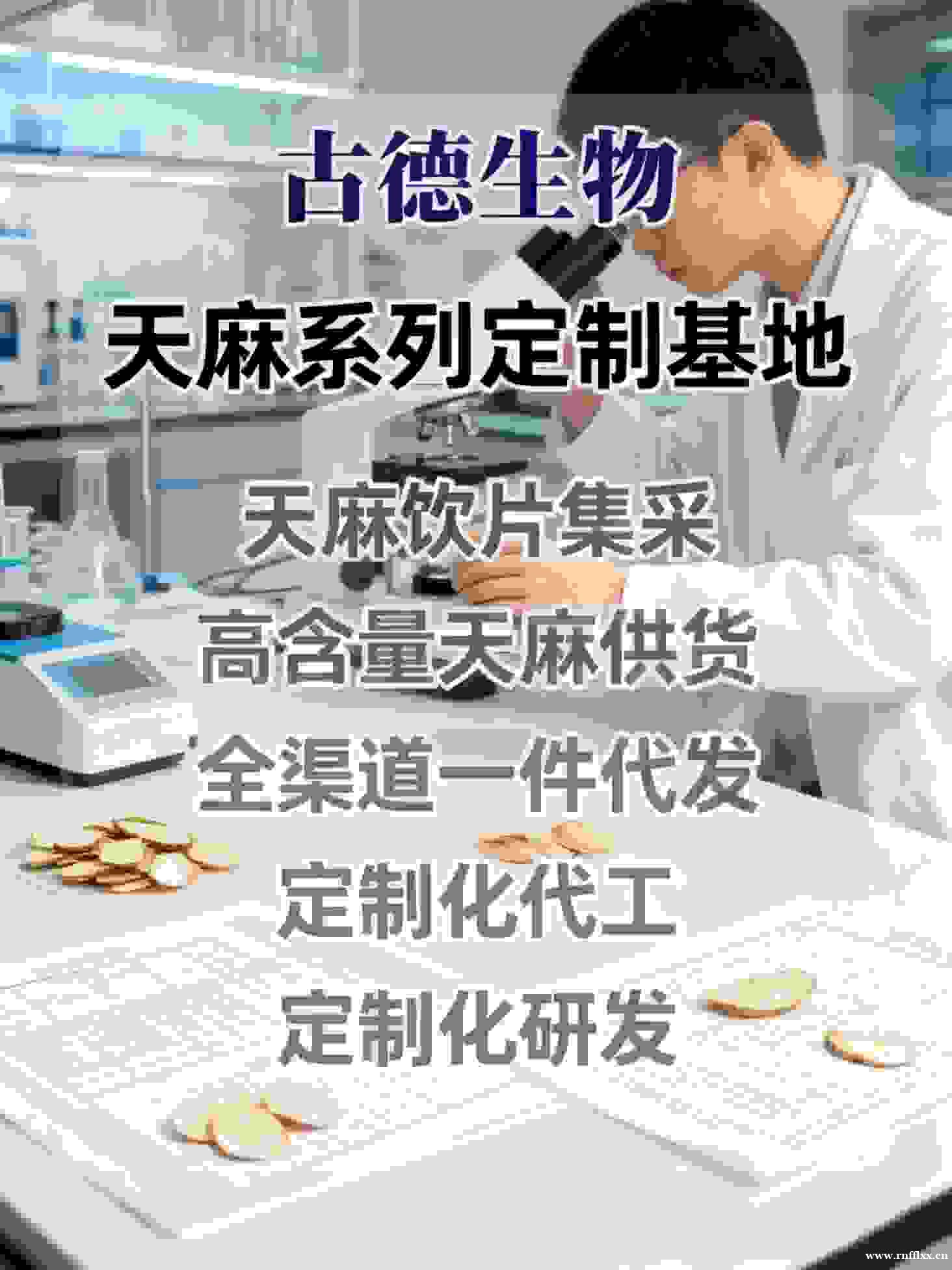 药典标准天麻定制古德生物支持不同粉碎细度浸出物15% 药典标准天麻定制古德生物支持不同粉碎细度浸出物15%