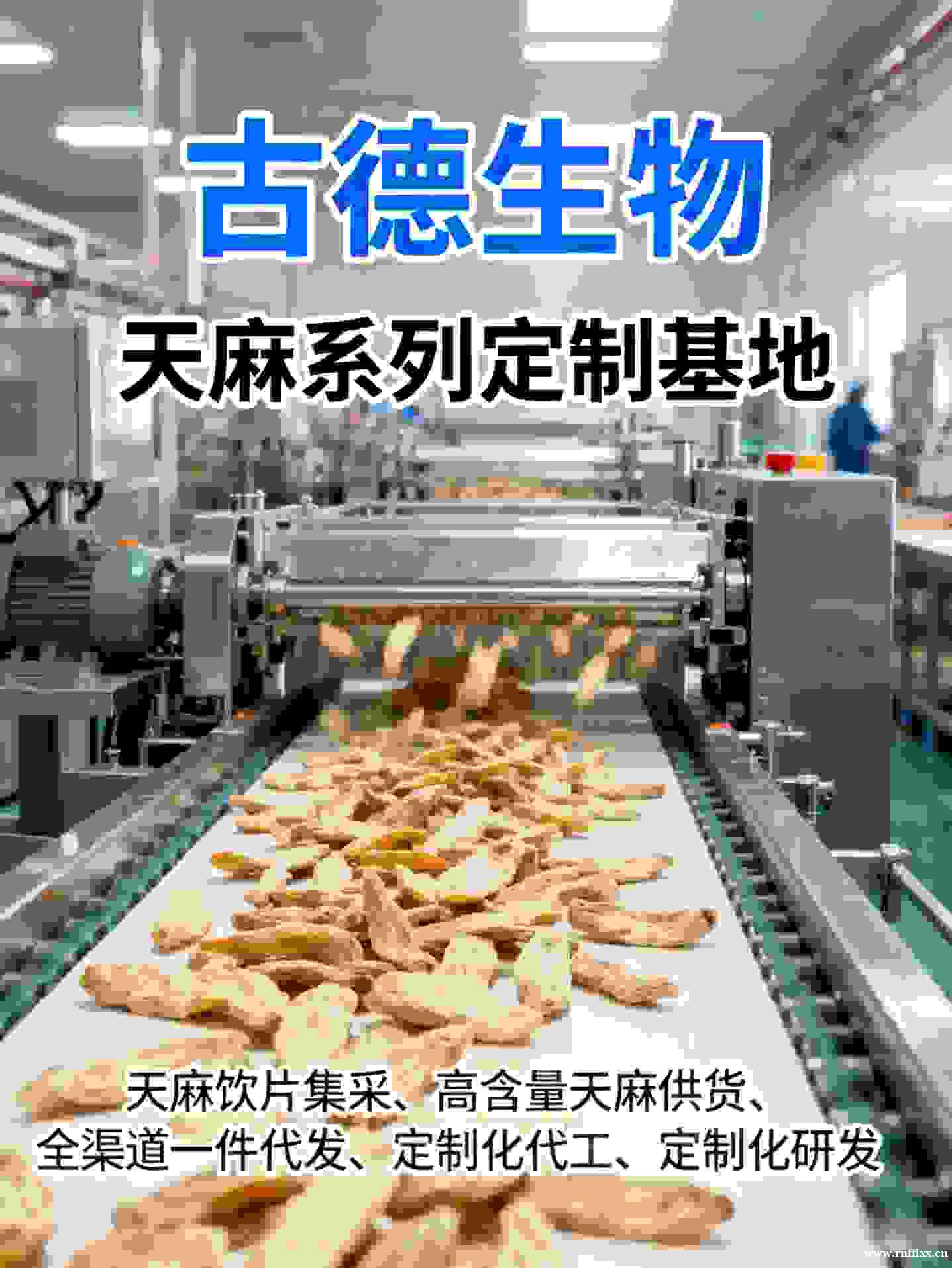 天麻定制合作古德生物提供技术咨询天麻素0.25% 天麻定制合作古德生物提供技术咨询天麻素0.25%