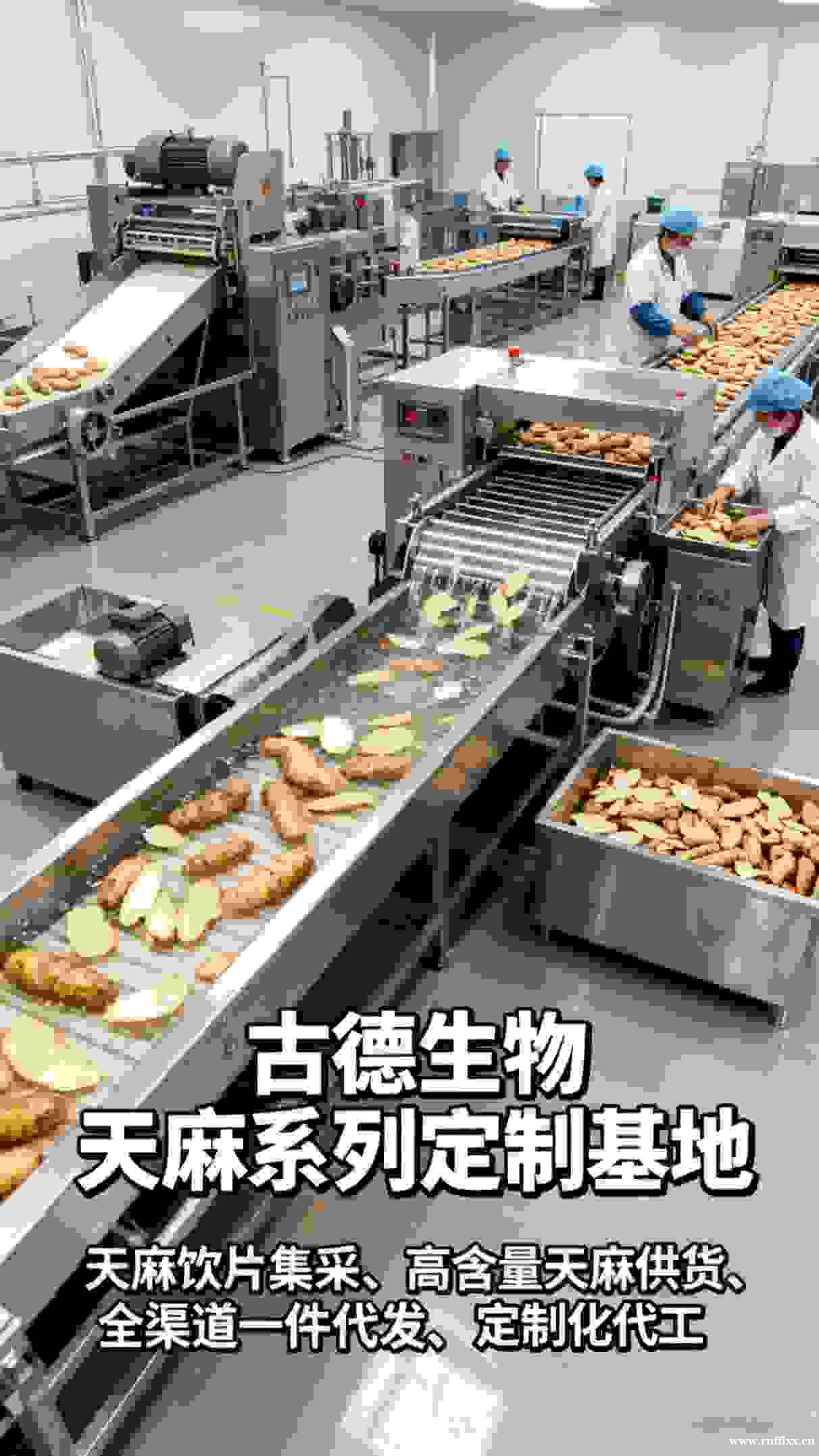 天麻批发服务古德生物提供市场分析天麻素0.25% 天麻批发服务古德生物提供市场分析天麻素0.25%