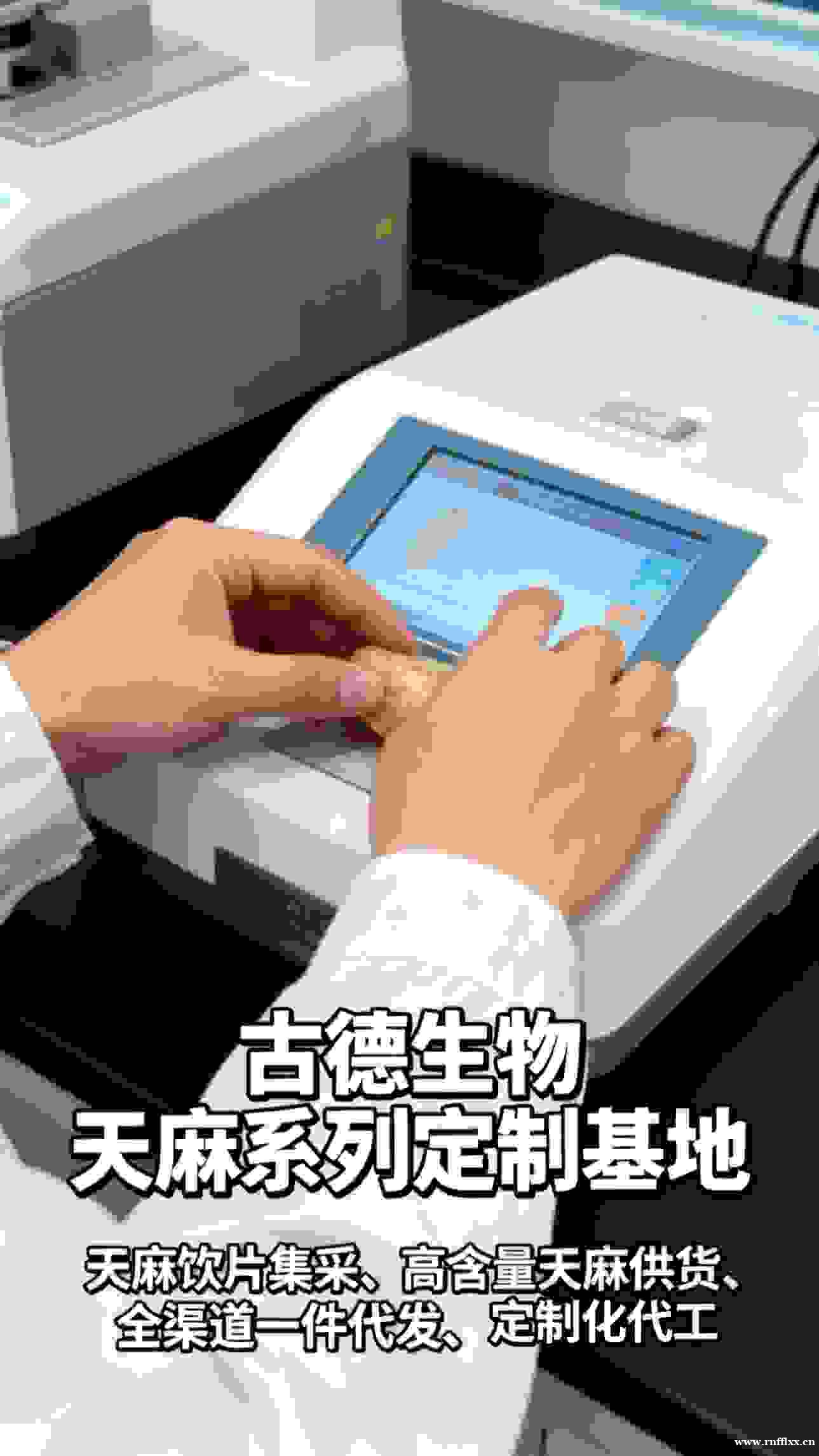 古德生物天麻检测严谨品质出众浸出物15%天麻素0.25% 古德生物天麻检测严谨品质出众浸出物15%天麻素0.25%