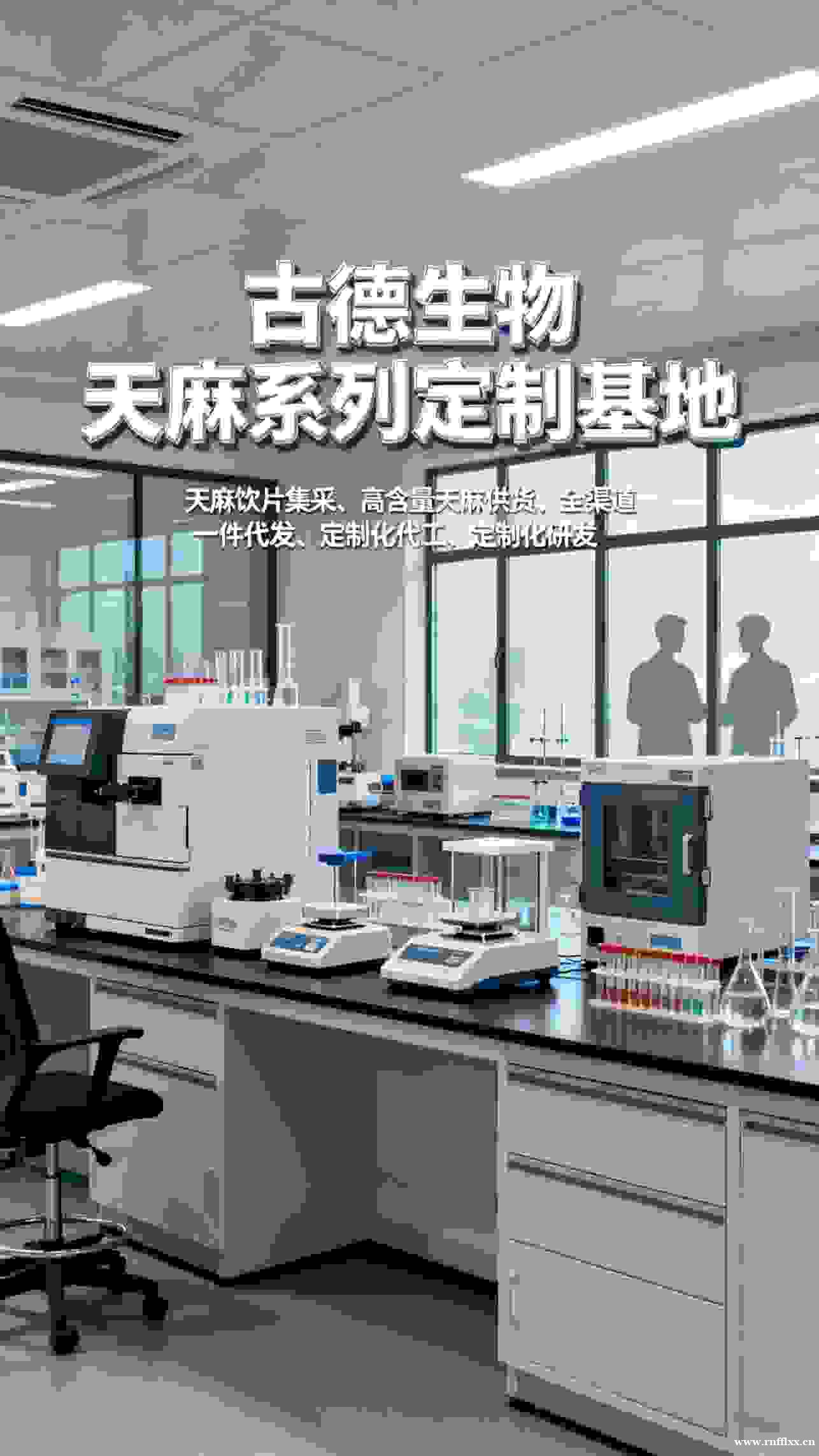 天麻批发合作古德生物合规生产天麻素0.25%浸出物15% 天麻批发合作古德生物合规生产天麻素0.25%浸出物15%