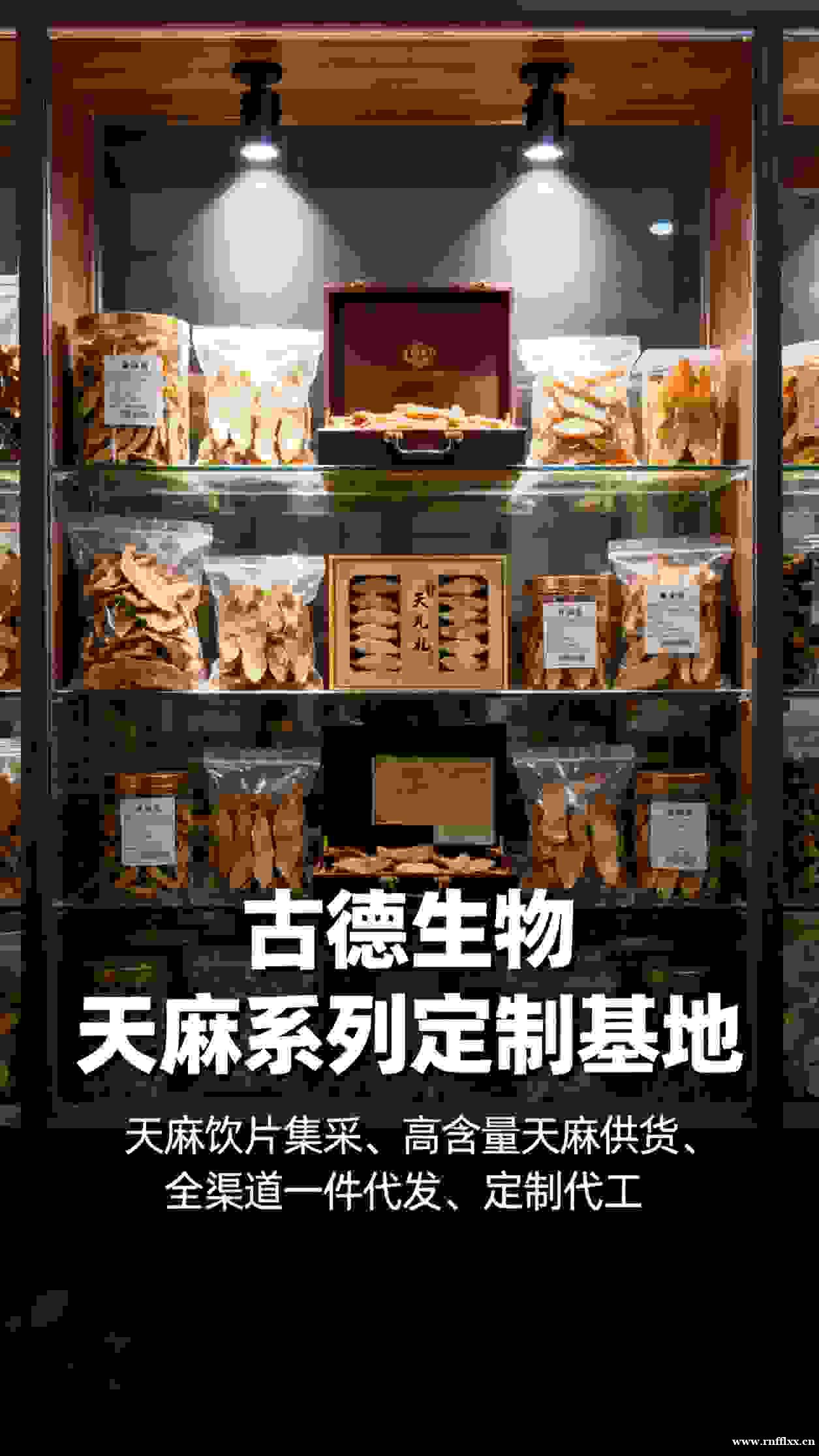 古德生物天麻集采技术支持专业浸出物15%天麻素0.25% 古德生物天麻集采技术支持专业浸出物15%天麻素0.25%