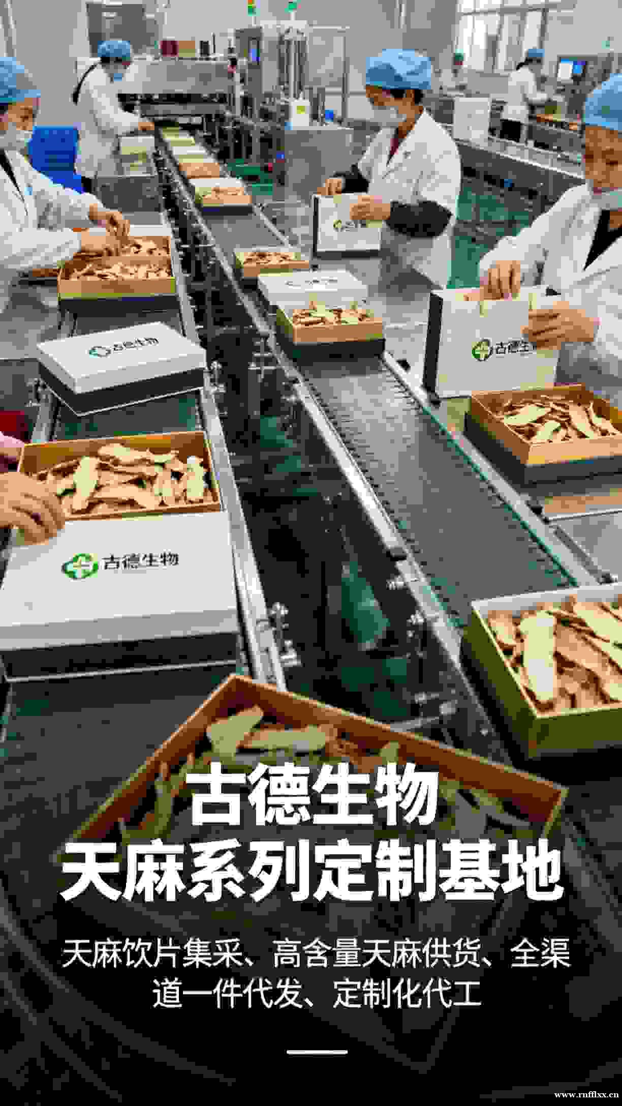 药典标准天麻定制适配营养补充浸出物15% 药典标准天麻定制适配营养补充浸出物15%