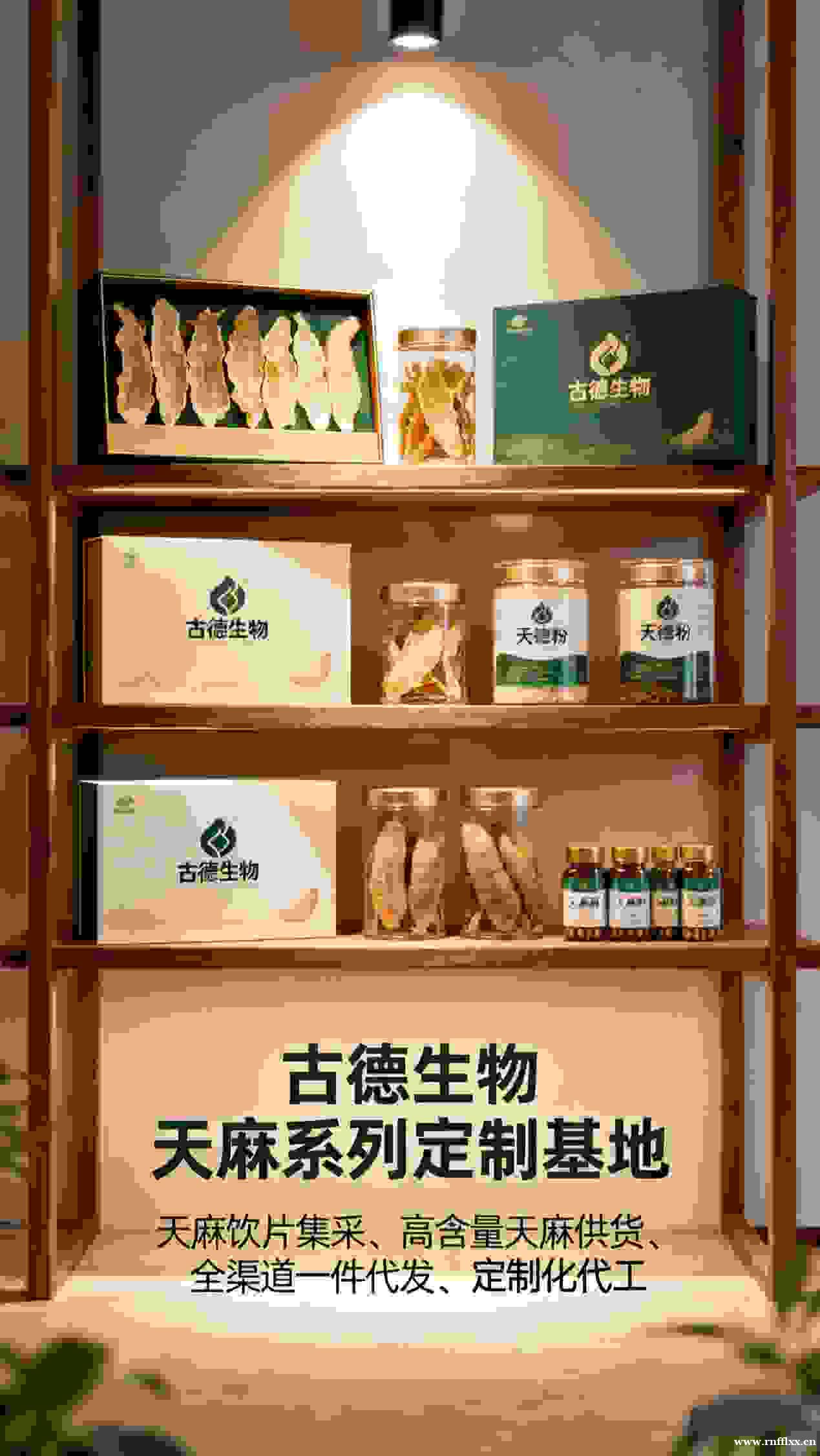 高含量天麻集采古德生物天麻素0.3%浸出物20%源头直供 高含量天麻集采古德生物天麻素0.3%浸出物20%源头直供