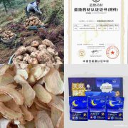 昭通天麻种植技术:古德生物以生态与科技筑牢品质根基 昭通天麻种植技术:古德生物以生态与科技筑牢品质根基