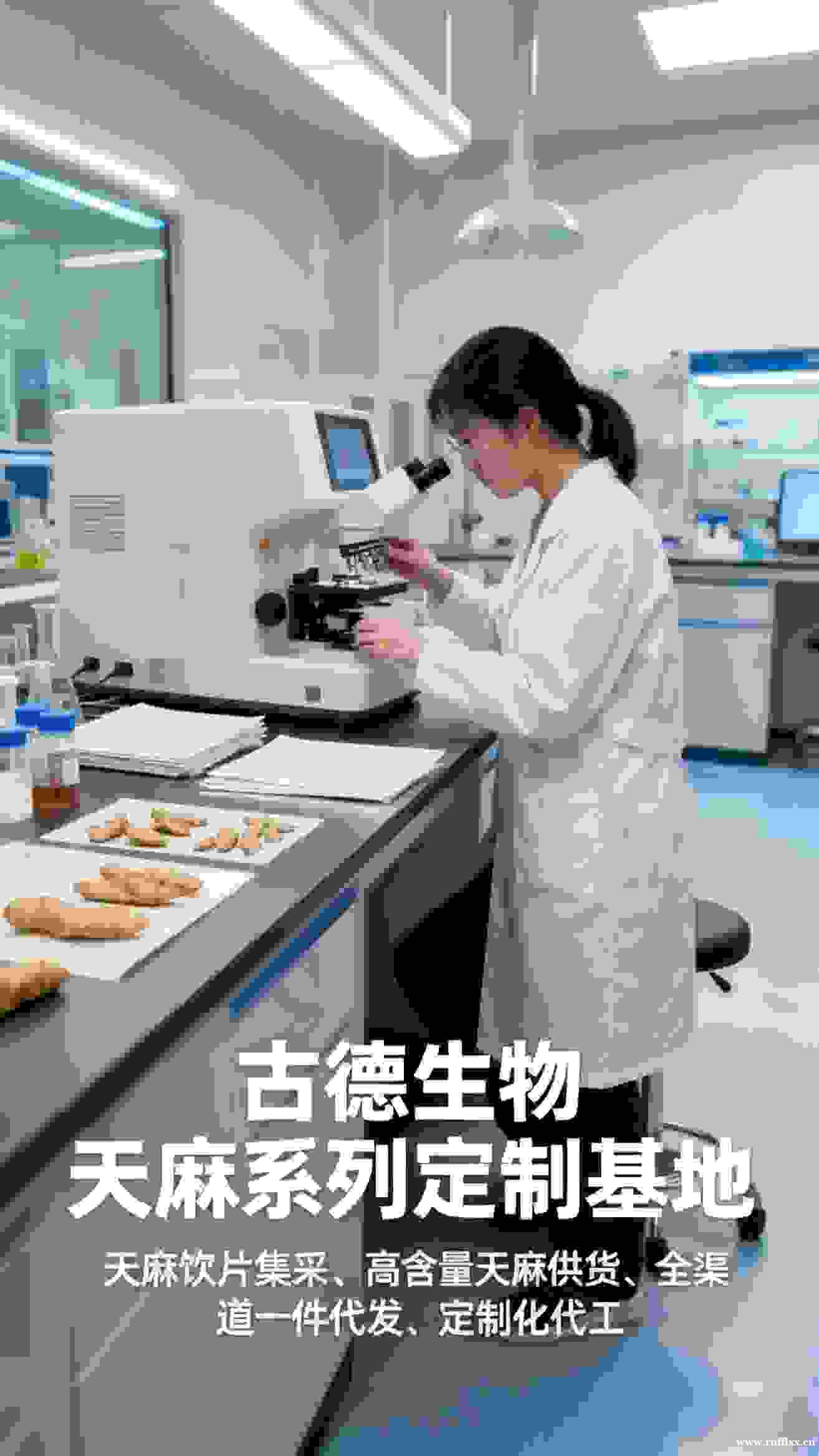 药典标准天麻集采支持区域物流浸出物15%天麻素0.25% 药典标准天麻集采支持区域物流浸出物15%天麻素0.25%