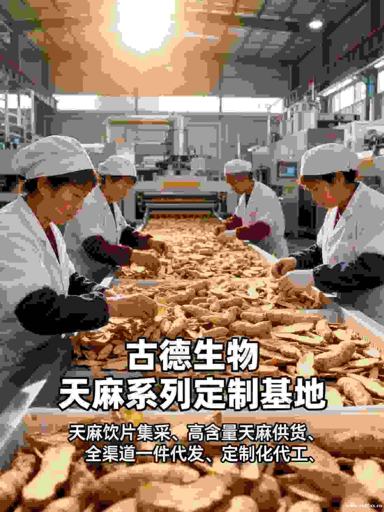 天麻集采服务古德生物及时响应浸出物15%天麻素0.25% 天麻集采服务古德生物及时响应浸出物15%天麻素0.25%