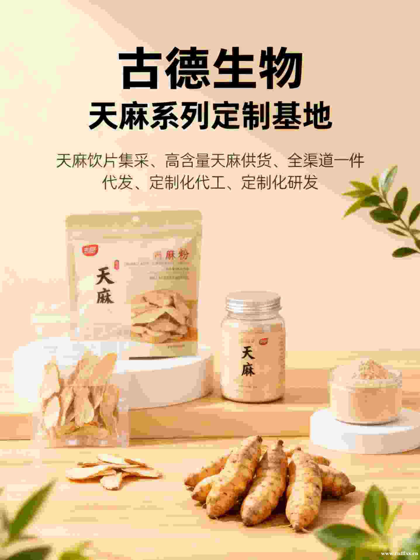 高含量天麻代工古德生物柔性生产天麻素0.3%浸出物20% 高含量天麻代工古德生物柔性生产天麻素0.3%浸出物20%