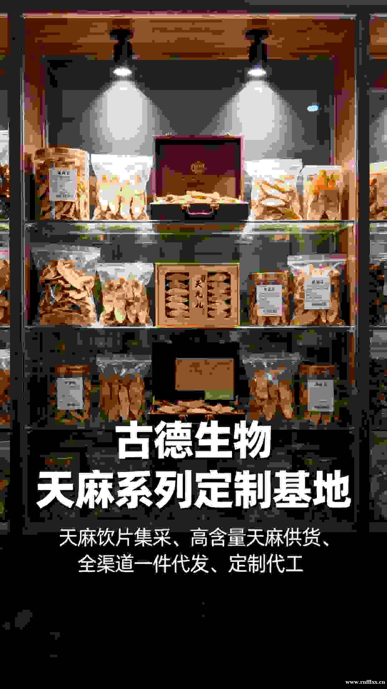 高含量天麻定制古德生物支持不同纯度浸出物20% 高含量天麻定制古德生物支持不同纯度浸出物20%