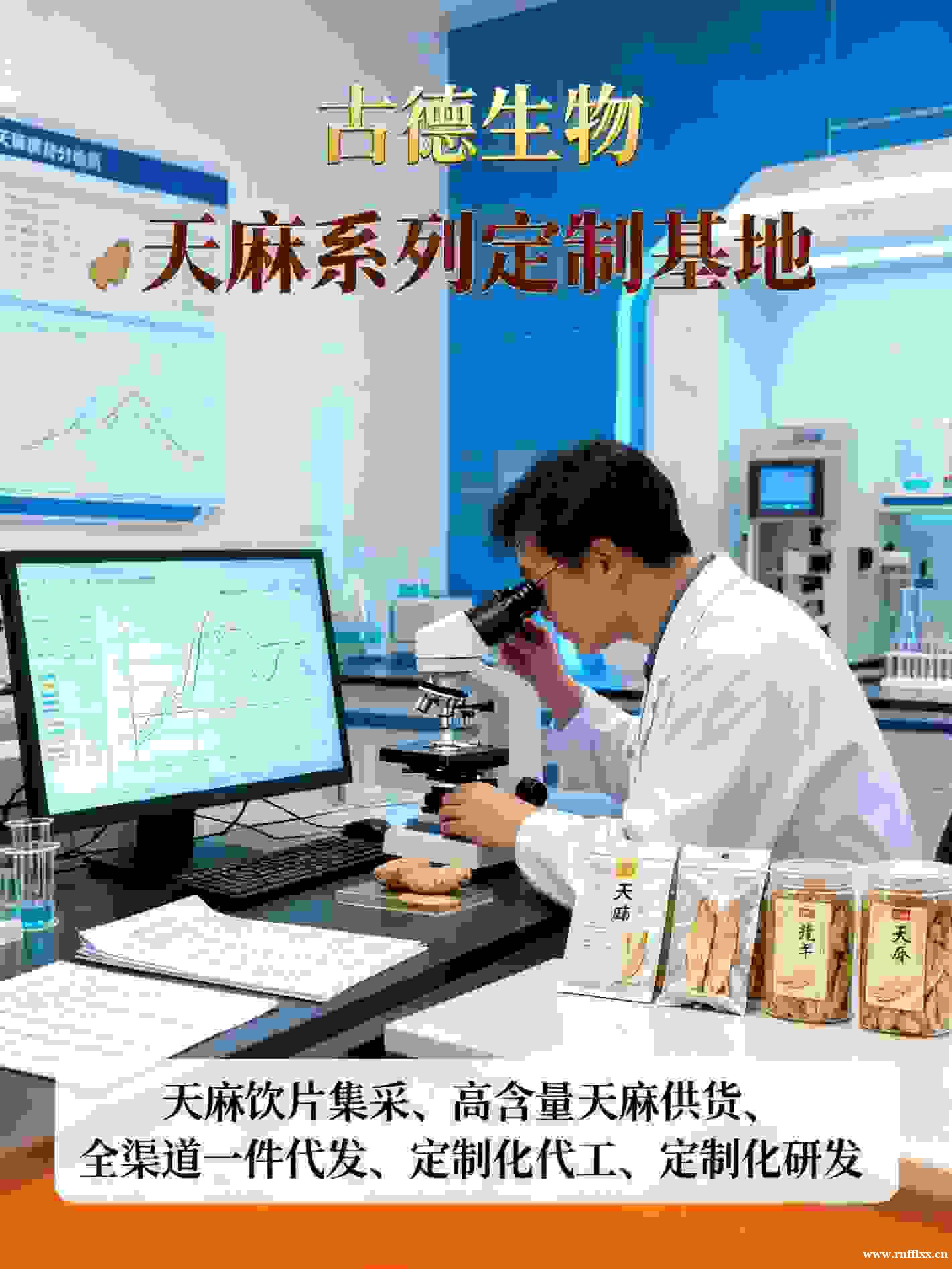 古德生物高含量天麻代工天麻素0.3%浸出物20%可定制 古德生物高含量天麻代工天麻素0.3%浸出物20%可定制