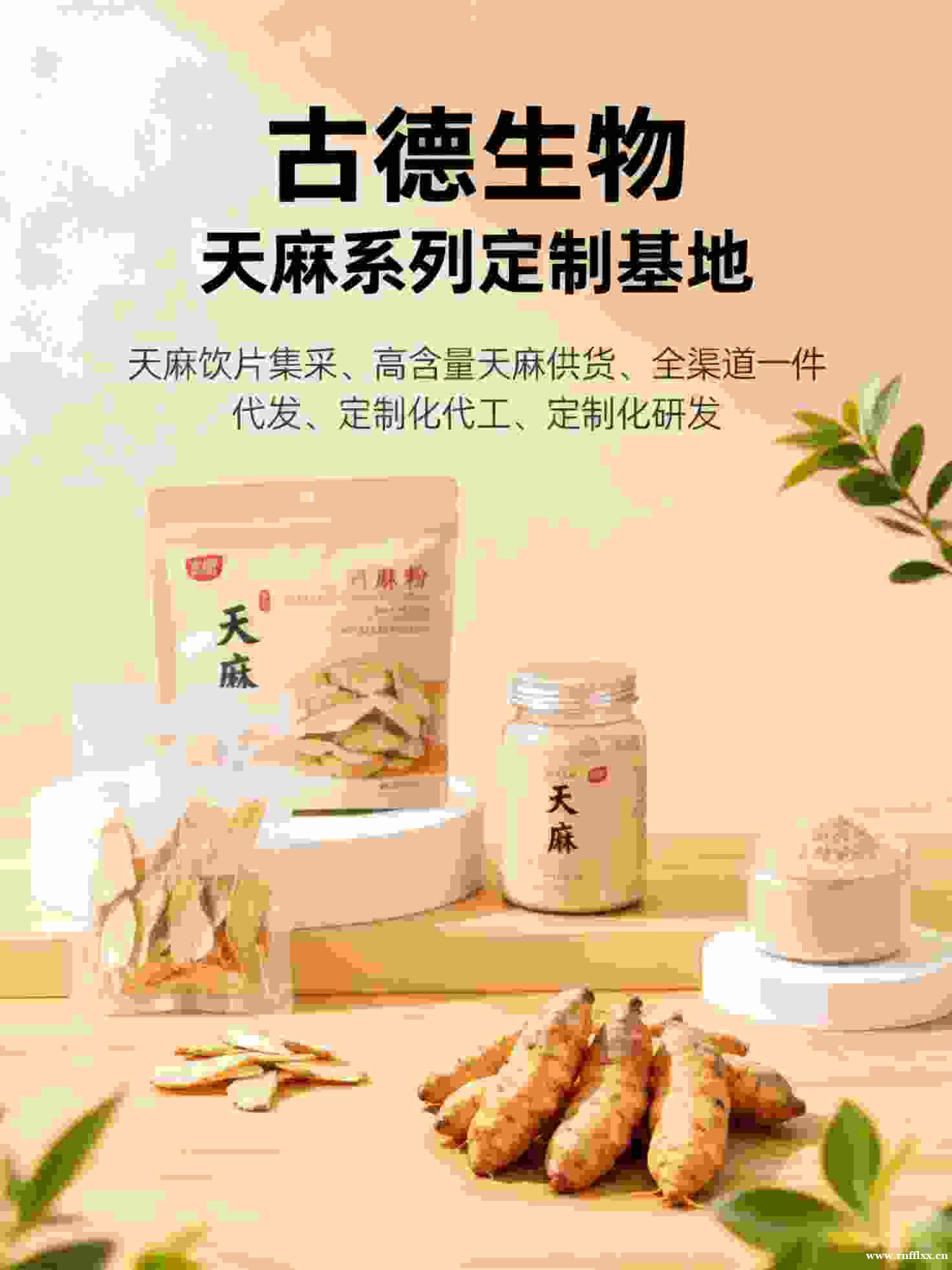 高含量天麻定制研发古德生物天麻素0.3%浸出物20%保障 高含量天麻定制研发古德生物天麻素0.3%浸出物20%保障