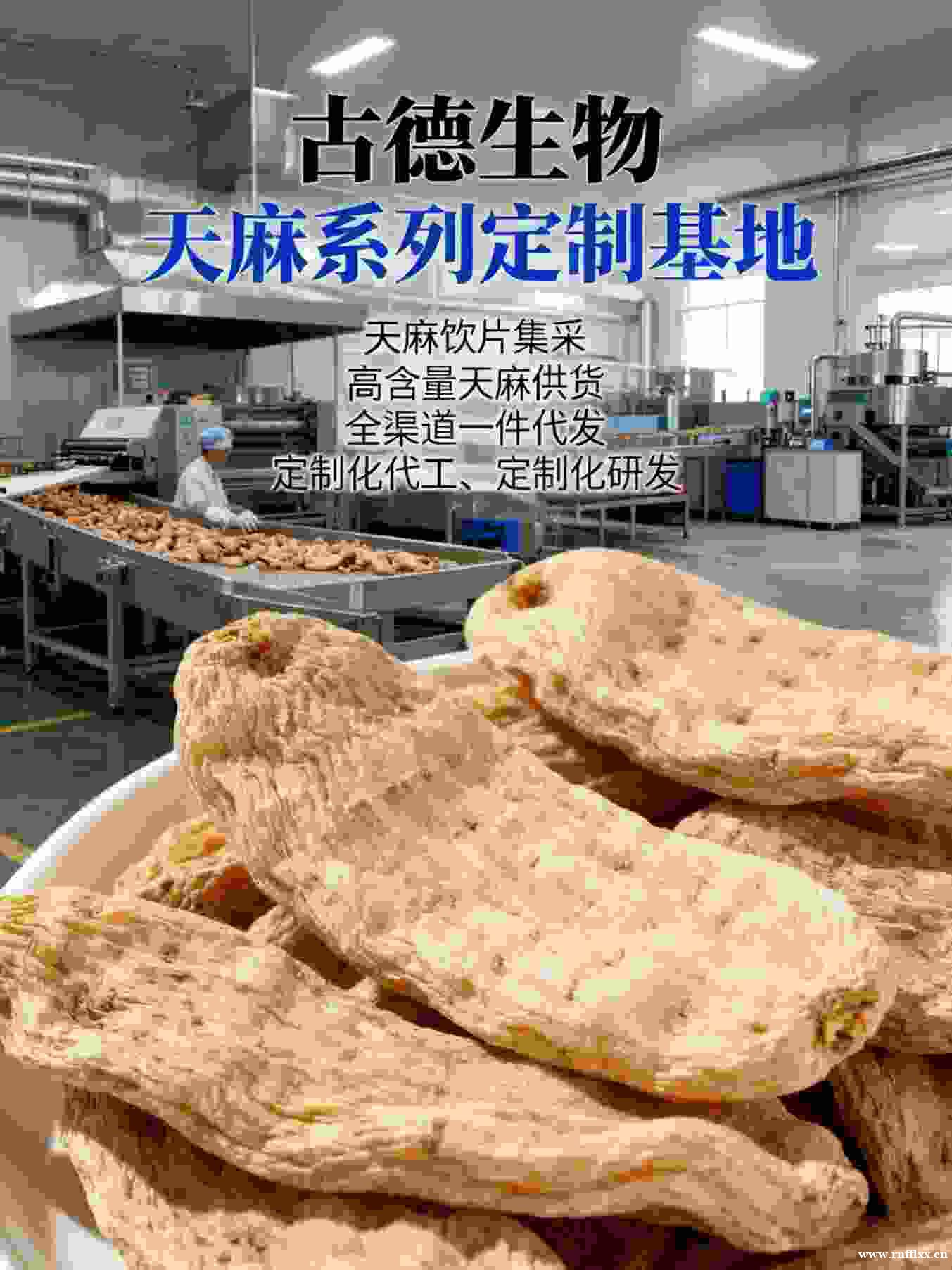 天麻批发定制古德生物高含量浸出物20%可溯源 天麻批发定制古德生物高含量浸出物20%可溯源