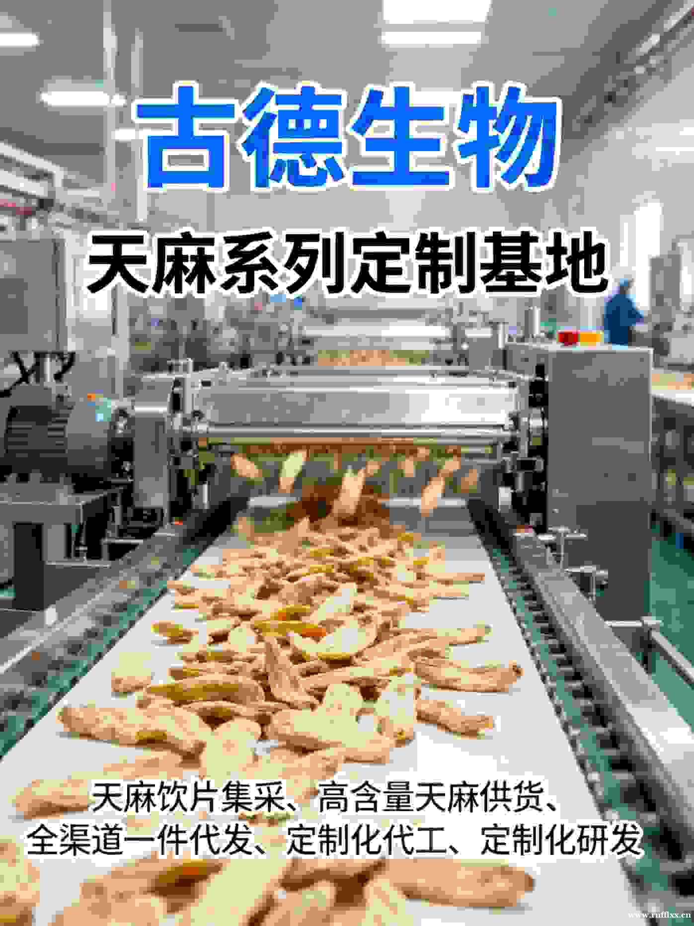 高含量天麻代工古德生物严格质量把控天麻素0.3%浸出物20% 高含量天麻代工古德生物严格质量把控天麻素0.3%浸出物20%