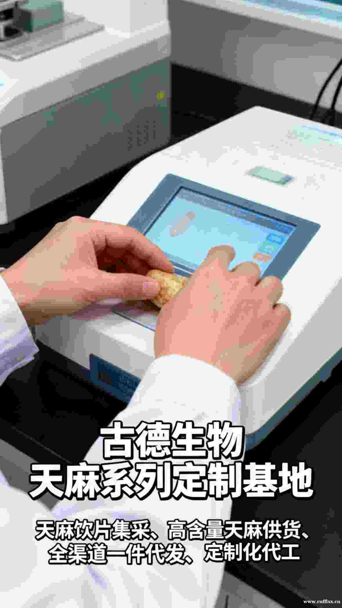 古德生物高含量天麻代工天麻素0.5%浸出物30%专业ODM服 古德生物高含量天麻代工天麻素0.5%浸出物30%专业ODM服