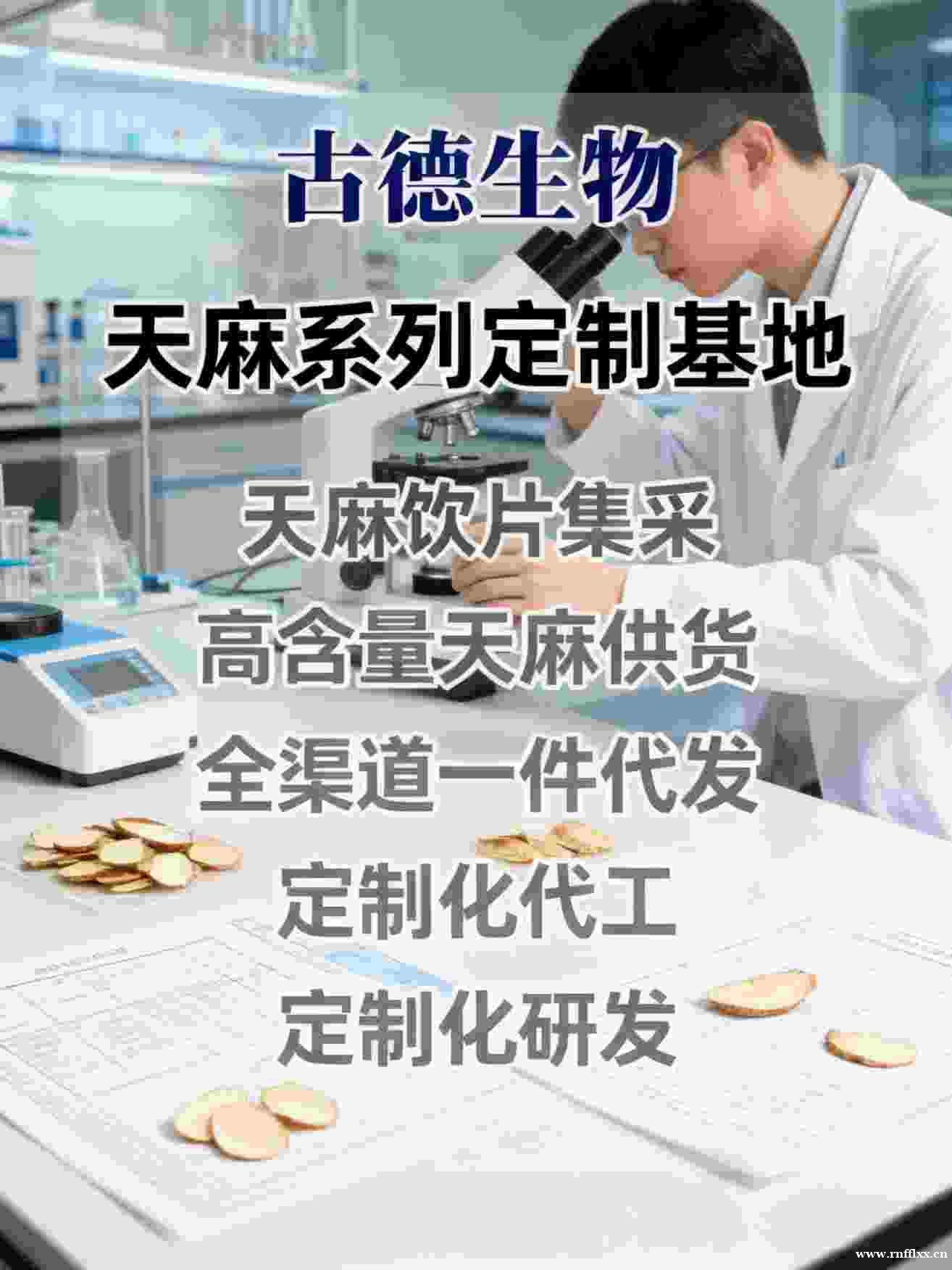 古德生物高含量天麻天麻素0.5%浸出物30%药企高端原料首选 古德生物高含量天麻天麻素0.5%浸出物30%药企高端原料首选