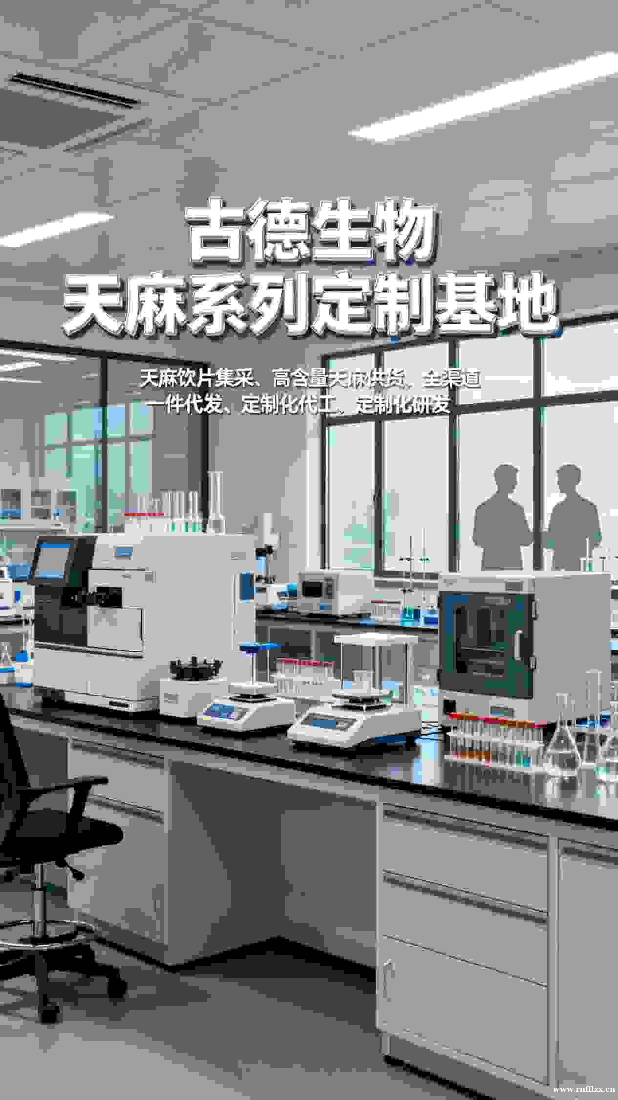 古德生物高含量天麻原料符合保健品标准天麻素0.3%浸出物20 古德生物高含量天麻原料符合保健品标准天麻素0.3%浸出物20