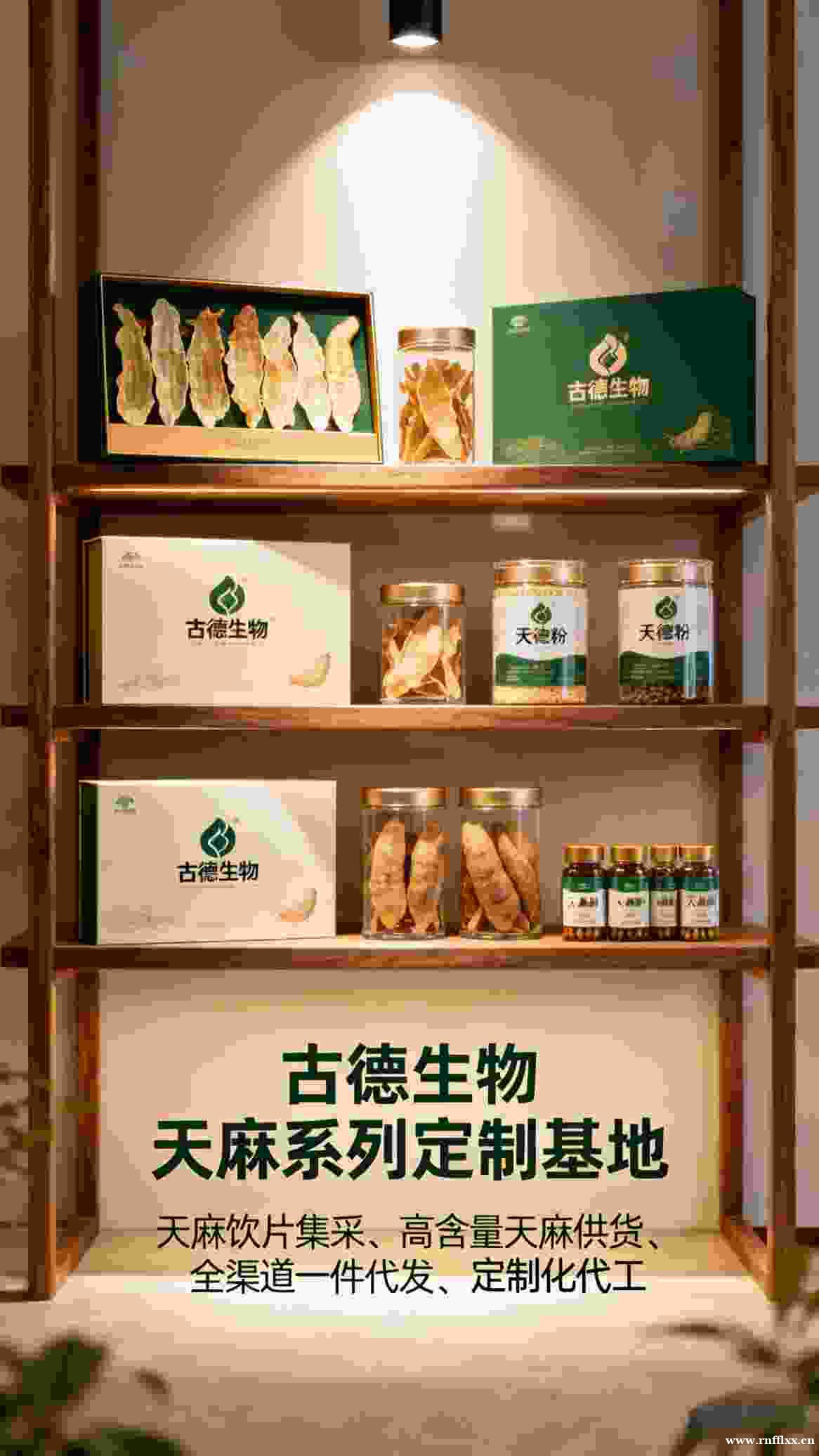 天麻定制服务古德生物高含量研发实力雄厚天麻素0.3% 天麻定制服务古德生物高含量研发实力雄厚天麻素0.3%