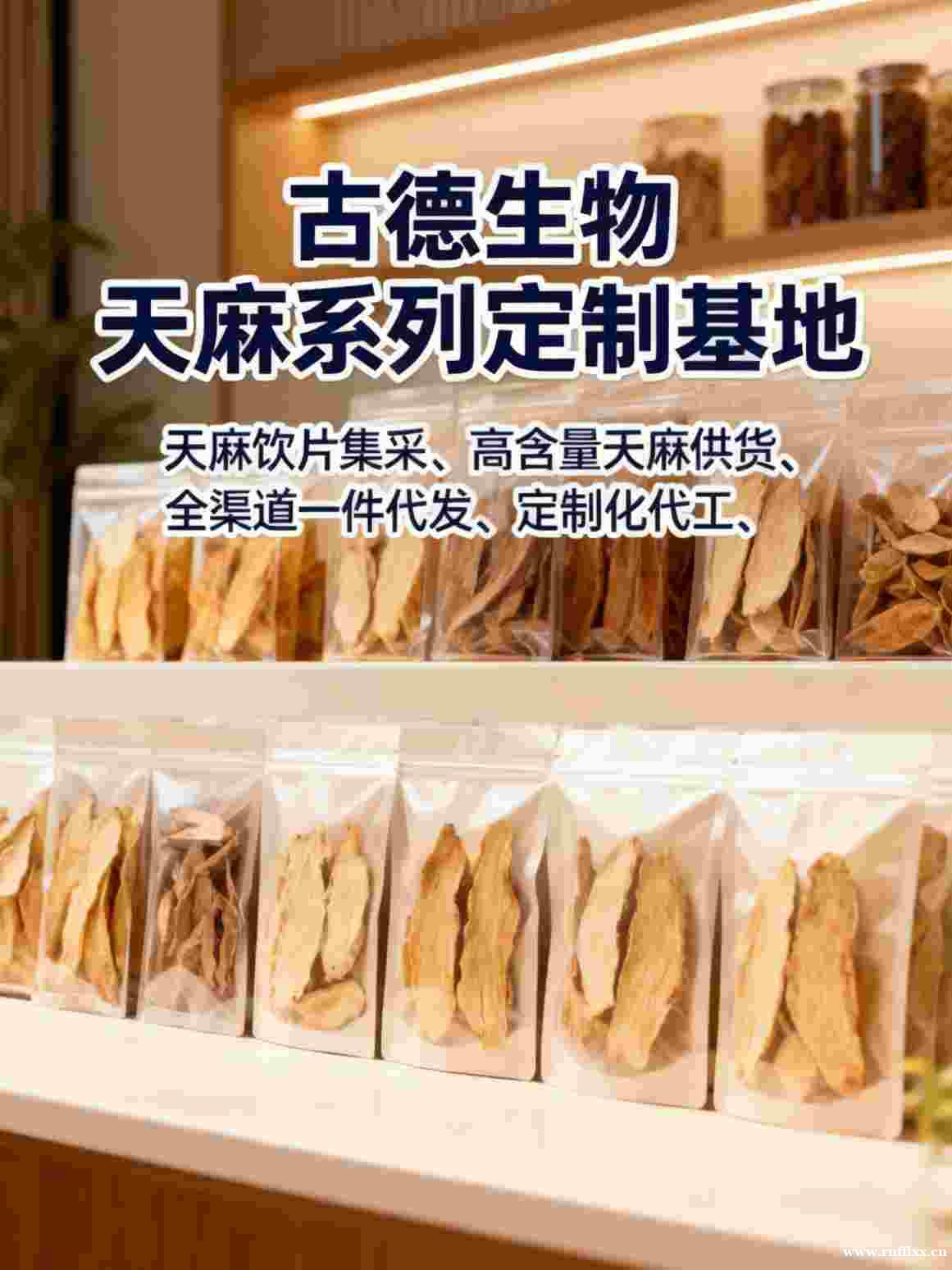 天麻定制合作古德生物高含量浸出物20%技术支持 天麻定制合作古德生物高含量浸出物20%技术支持
