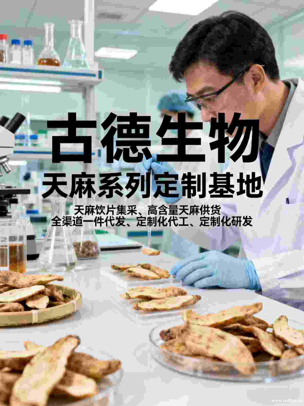 高含量天麻代工古德生物天麻素0.5%浸出物30%多规格可选 高含量天麻代工古德生物天麻素0.5%浸出物30%多规格可选