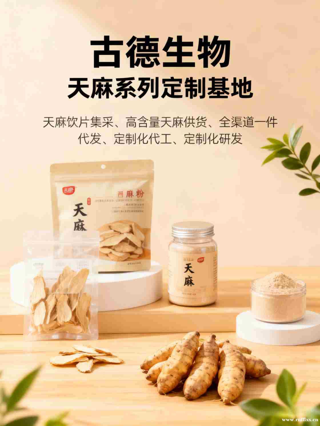 古德生物高含量天麻集采天麻素0.5%快速交付保障生产 古德生物高含量天麻集采天麻素0.5%快速交付保障生产