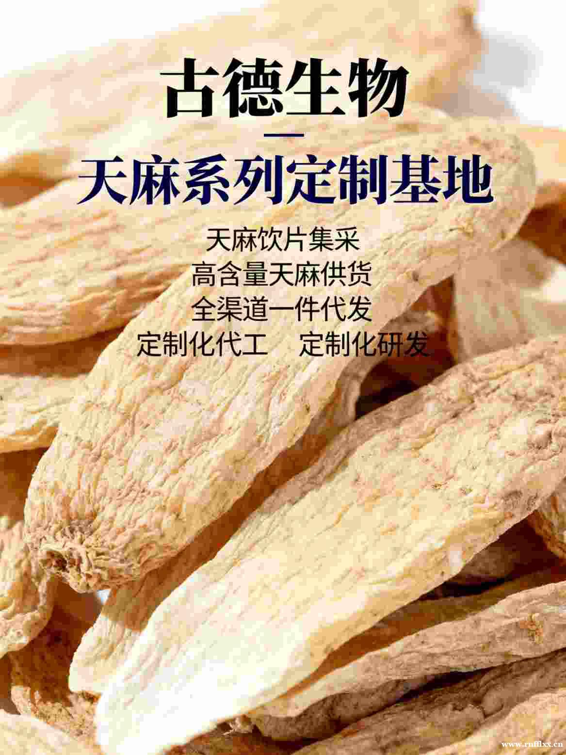 天麻定制研发古德生物高含量浸出物30%原料优选 天麻定制研发古德生物高含量浸出物30%原料优选