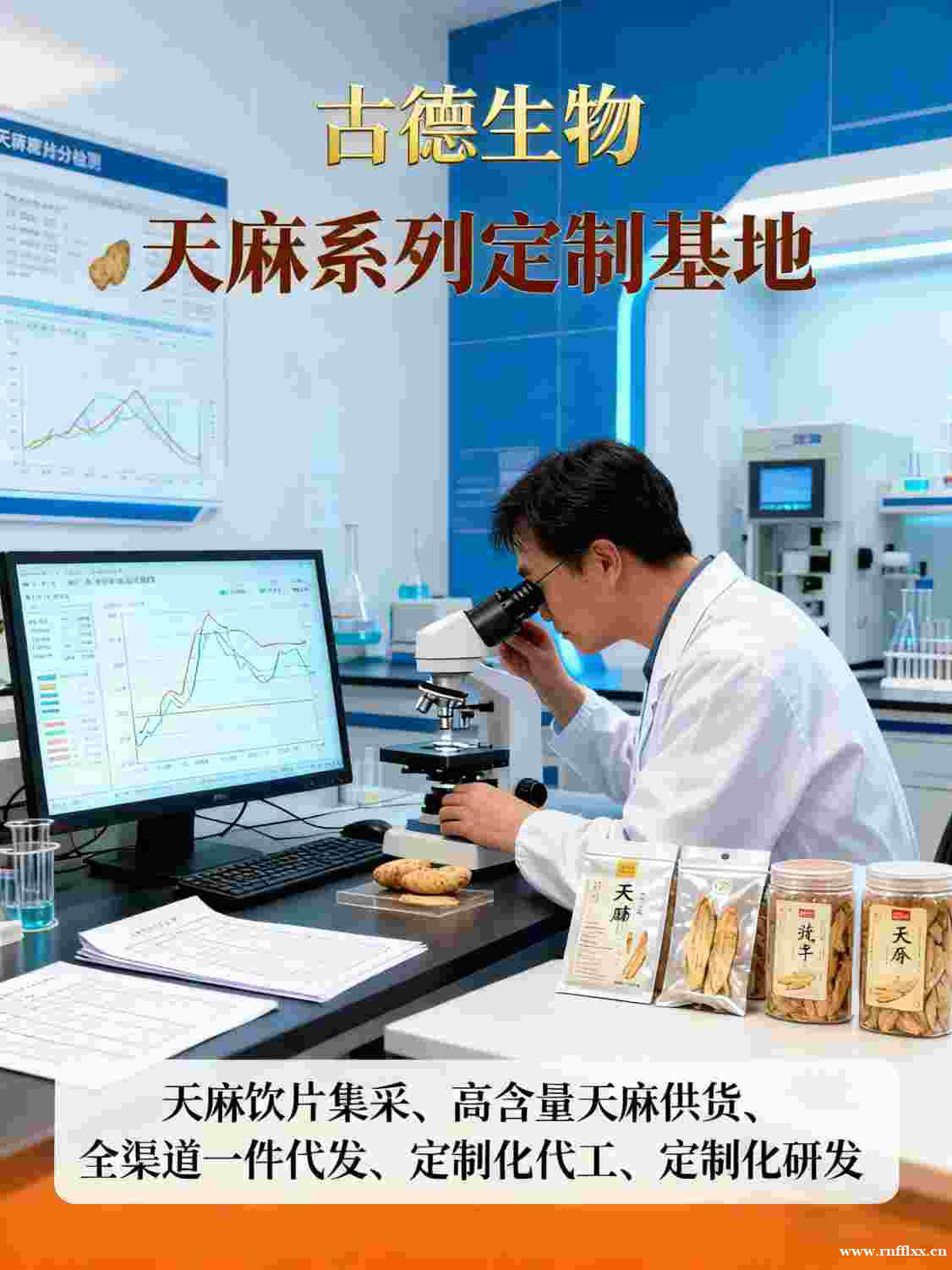 天麻定制服务古德生物高含量浸出物30%技术支持 天麻定制服务古德生物高含量浸出物30%技术支持